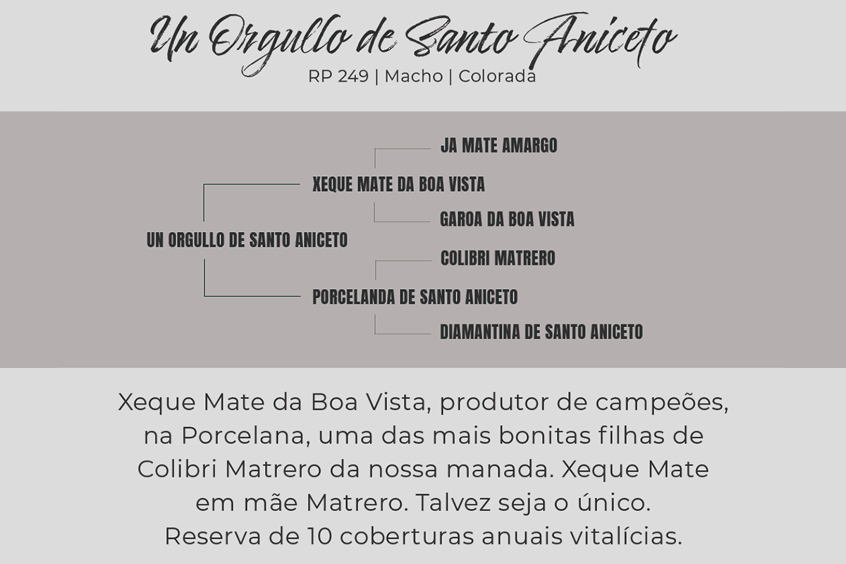Geração UN ORGULLO DE SANTO ANICETO