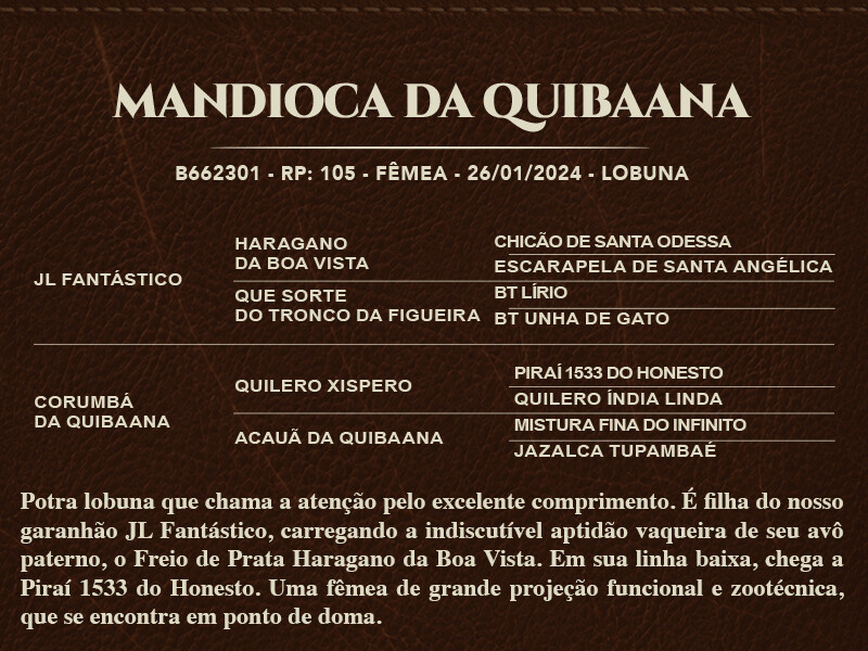 Geração MANDIOCA DA QUIBAANA