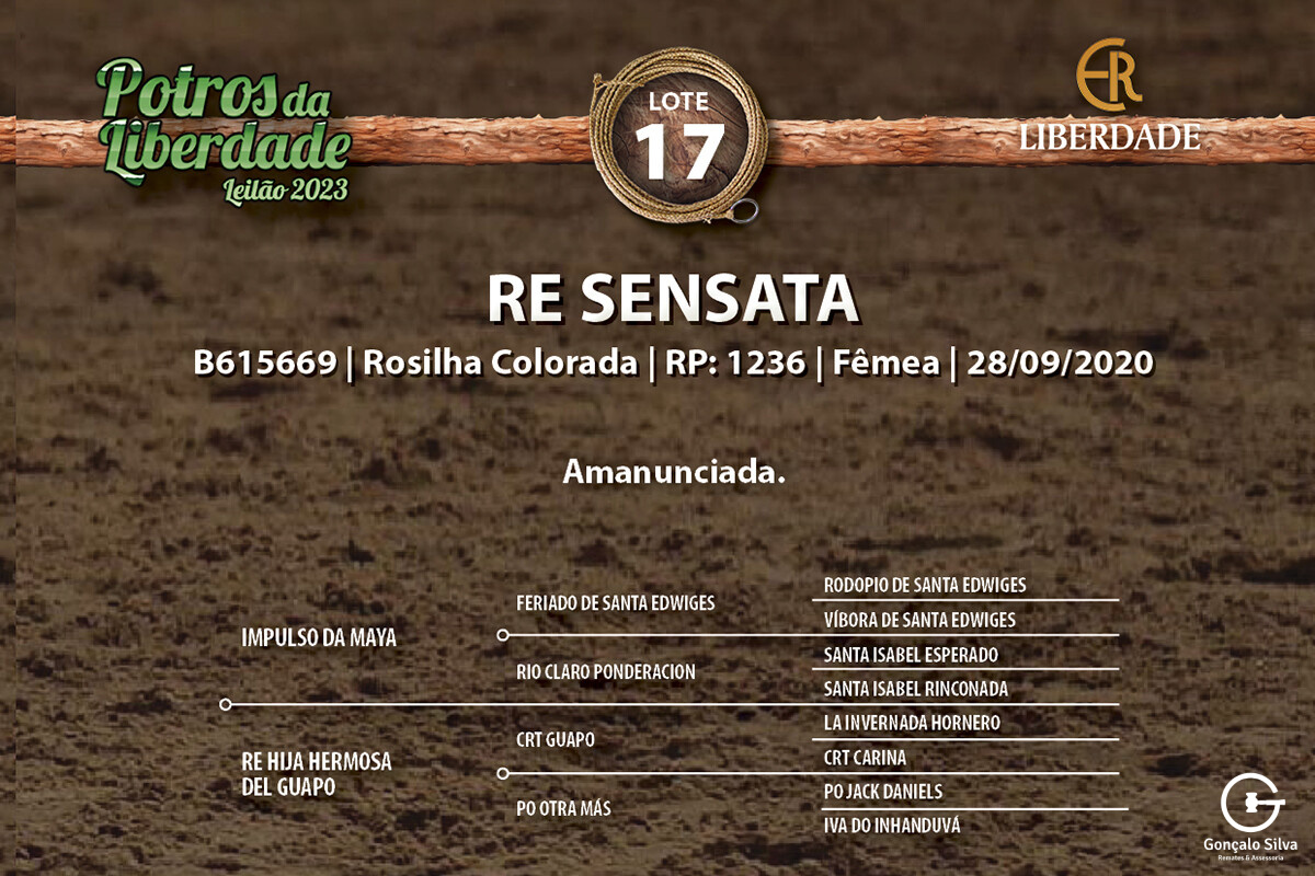 Geração RE SENSATA