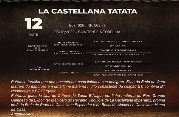 Geração LA CASTELLANA TATATA