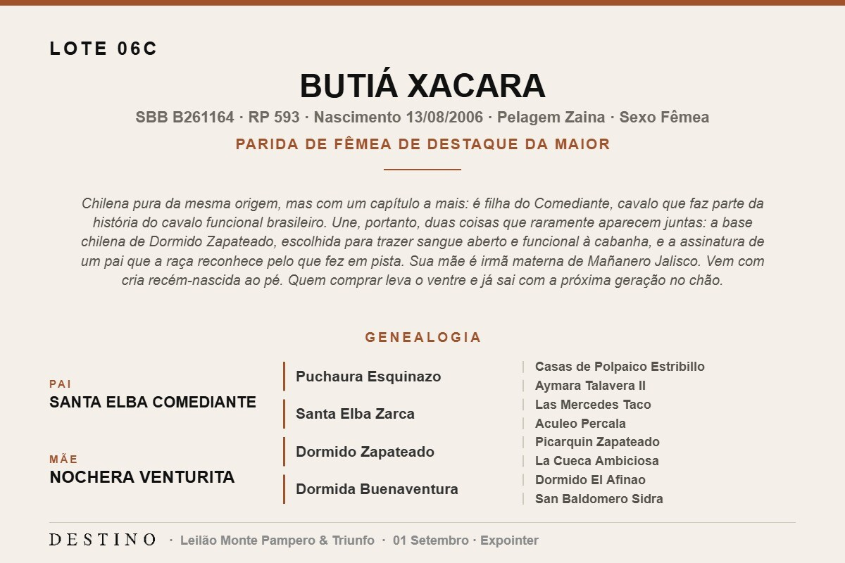 Geração BUTÁ XACARA - (Venda vertical)
