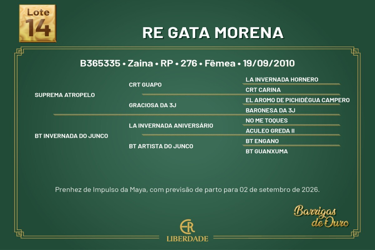 Geração RE GATA MORENA