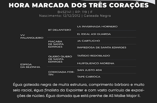 Geração HORA MARCADA DOS TRÊS CORAÇÕES
