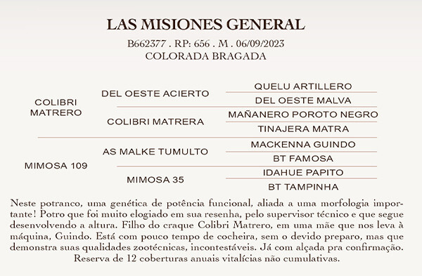 Geração  LAS MISIONES GENERAL