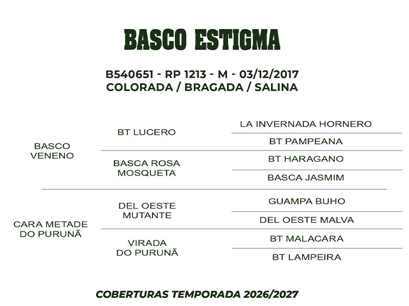 Geração COBERTURA BASCO ESTIGMA 