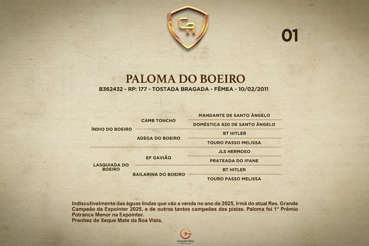Geração PALOMA DO BOEIRO