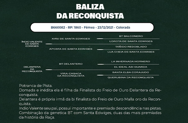 Geração BALIZA DA RECONQUISTA