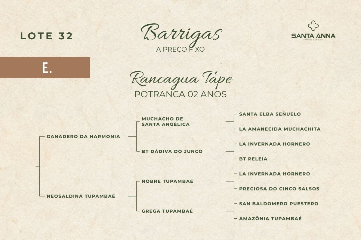Geração RANCAGUA TAPE