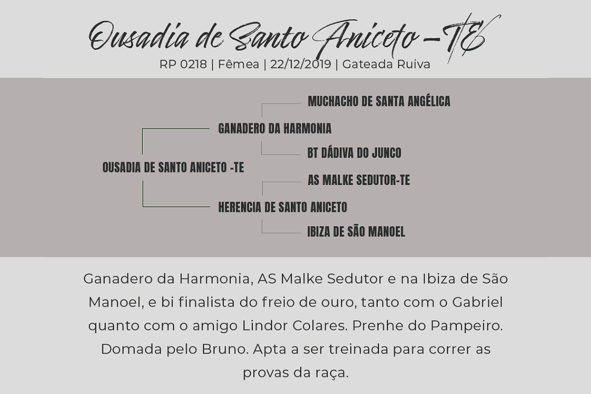 Geração OUSADIA DE SANTO ANICETO-TE