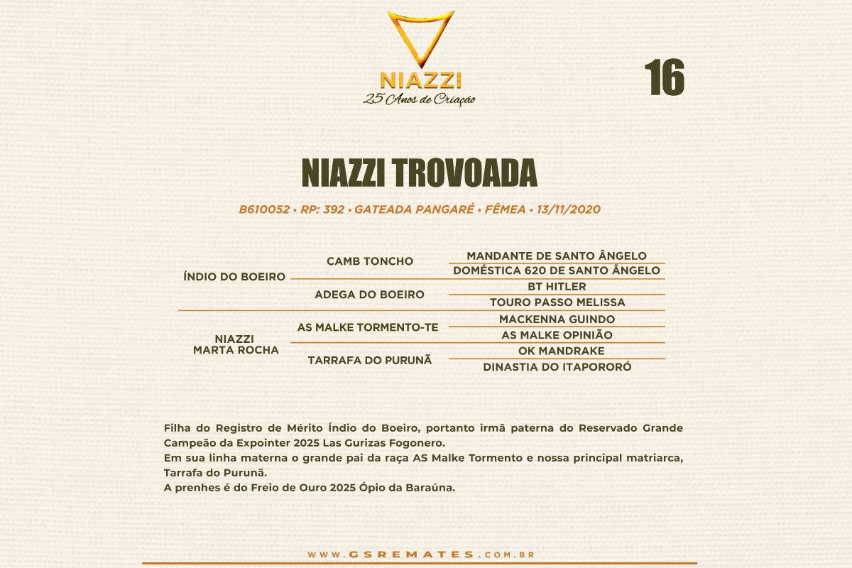 Geração NIAZZI TROVOADA