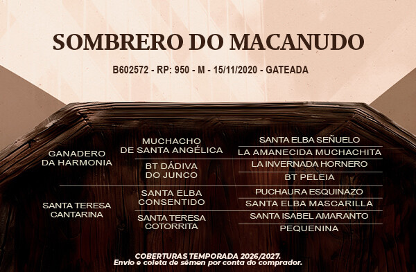 Geração Sombrero do Macanudo