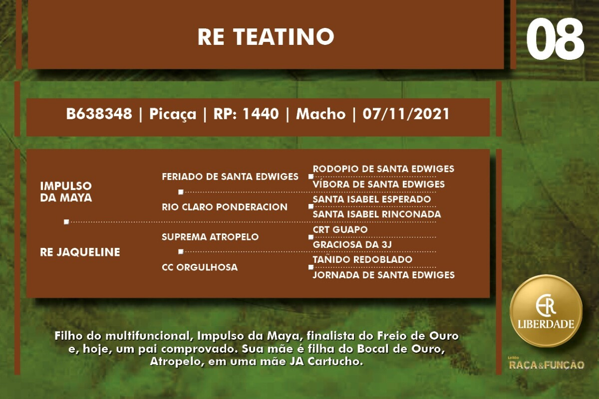 Geração RE TEATINO