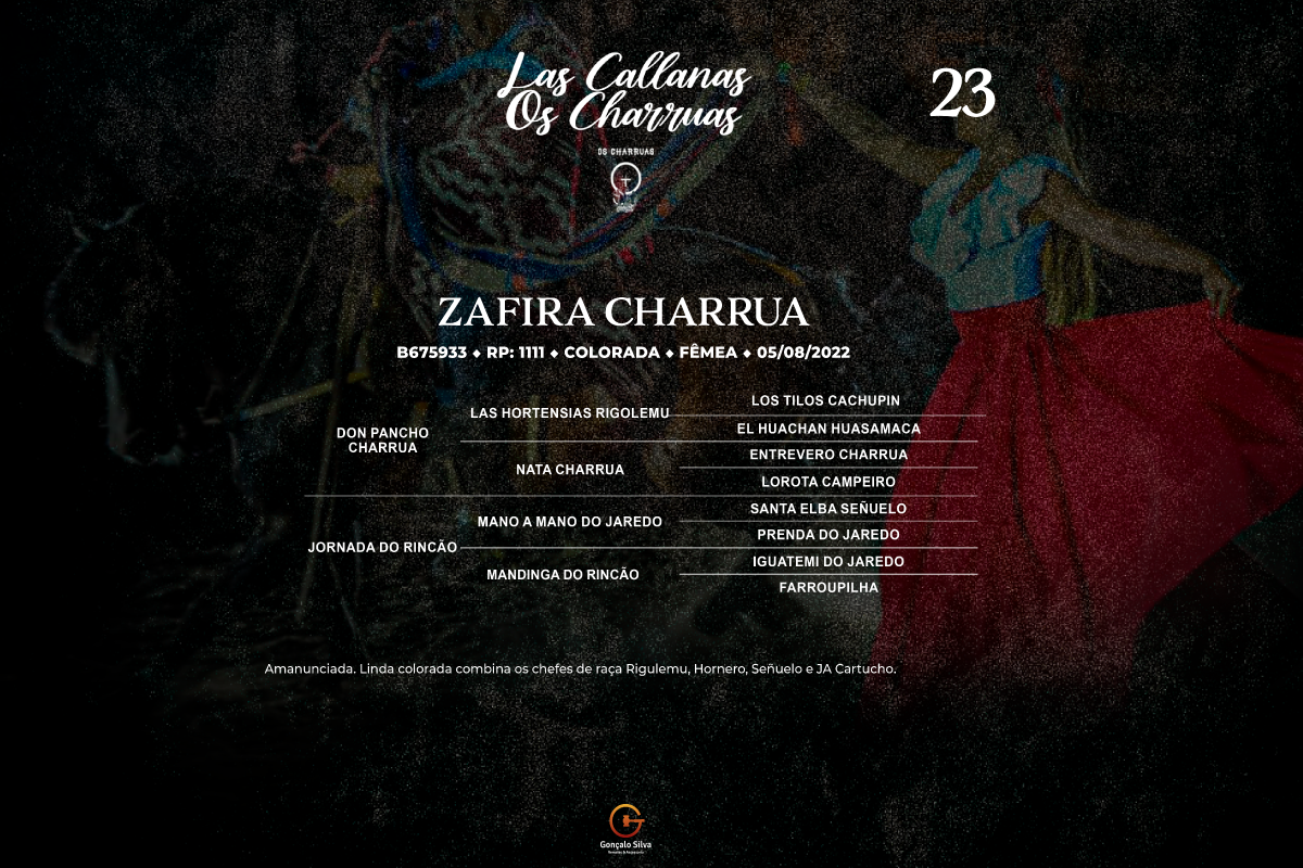 Geração  ZAFIRA CHARRUA