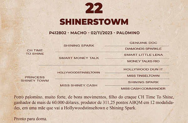 Geração SHINERSTOWN