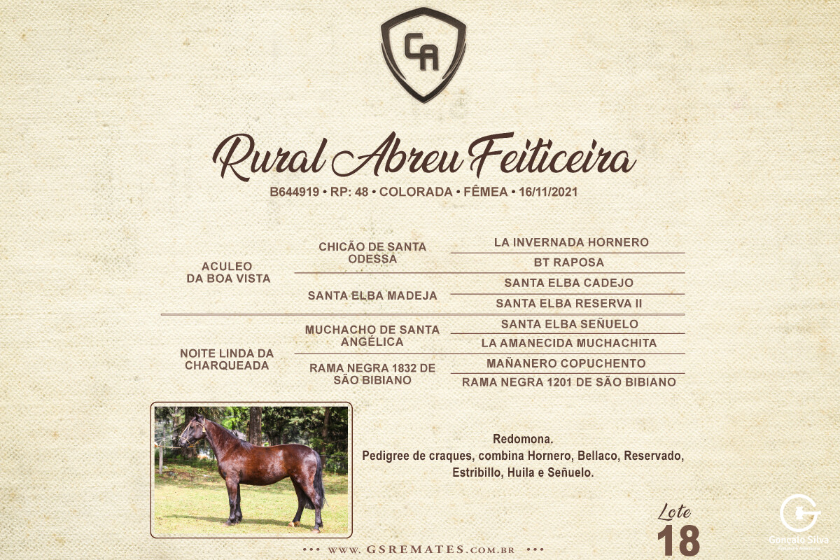 Geração RURAL ABREU FEITICEIRA