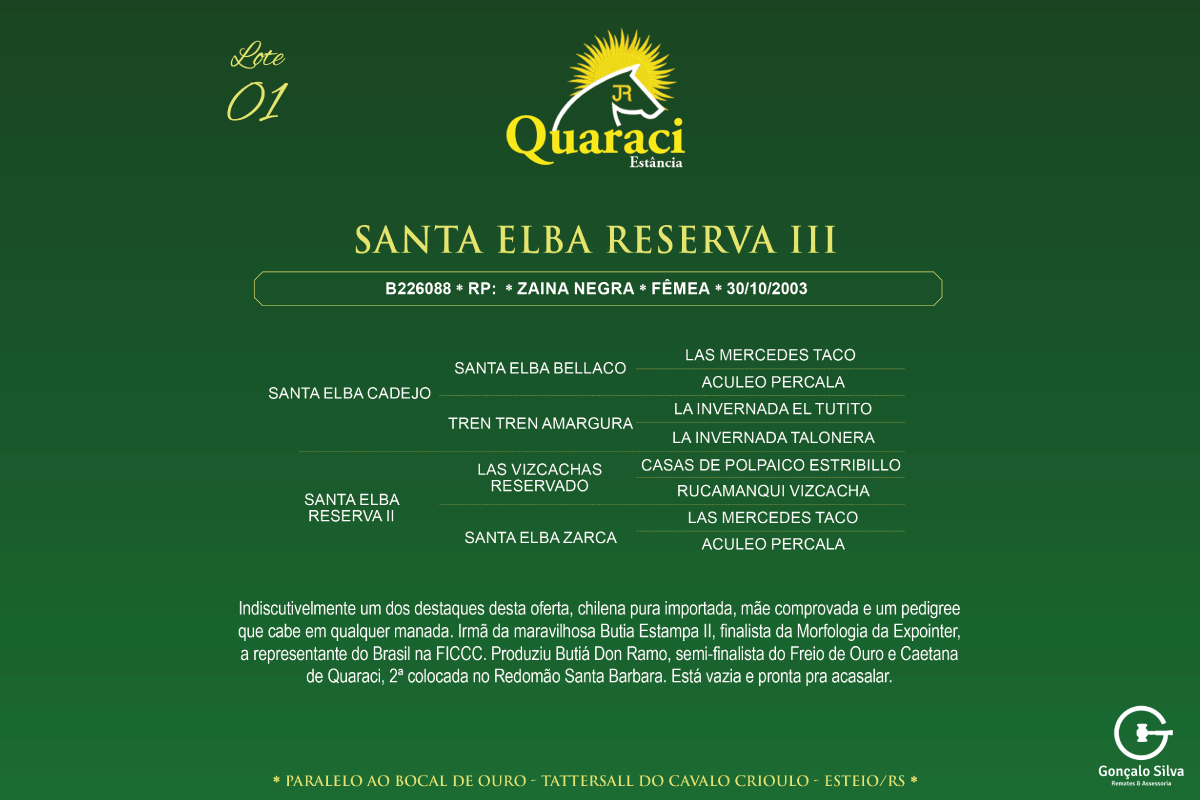 Geração SANTA ELBA RESERVA III