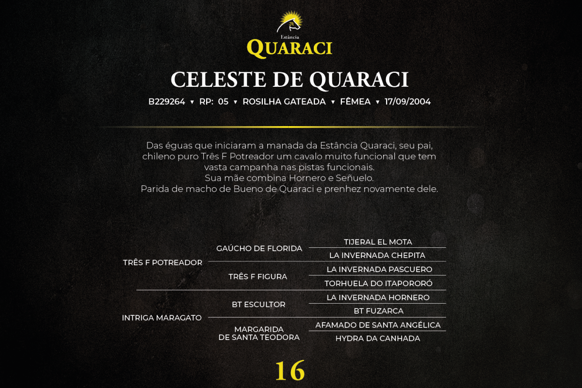Geração CELESTE DE QUARACI