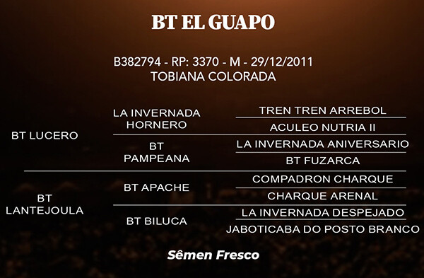 Geração BT EL GUAPO