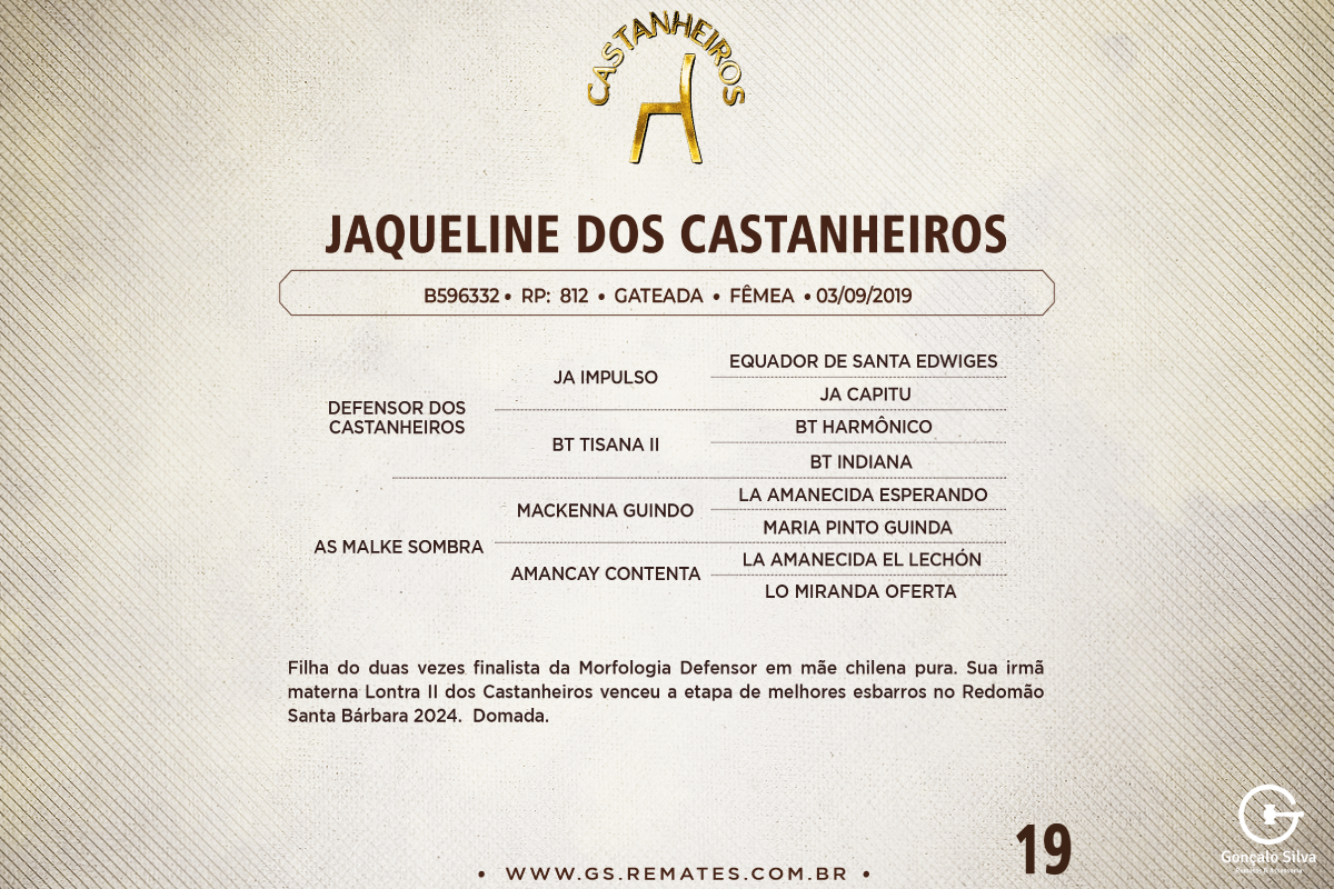 Geração JAQUELINE DOS CASTANHEIROS