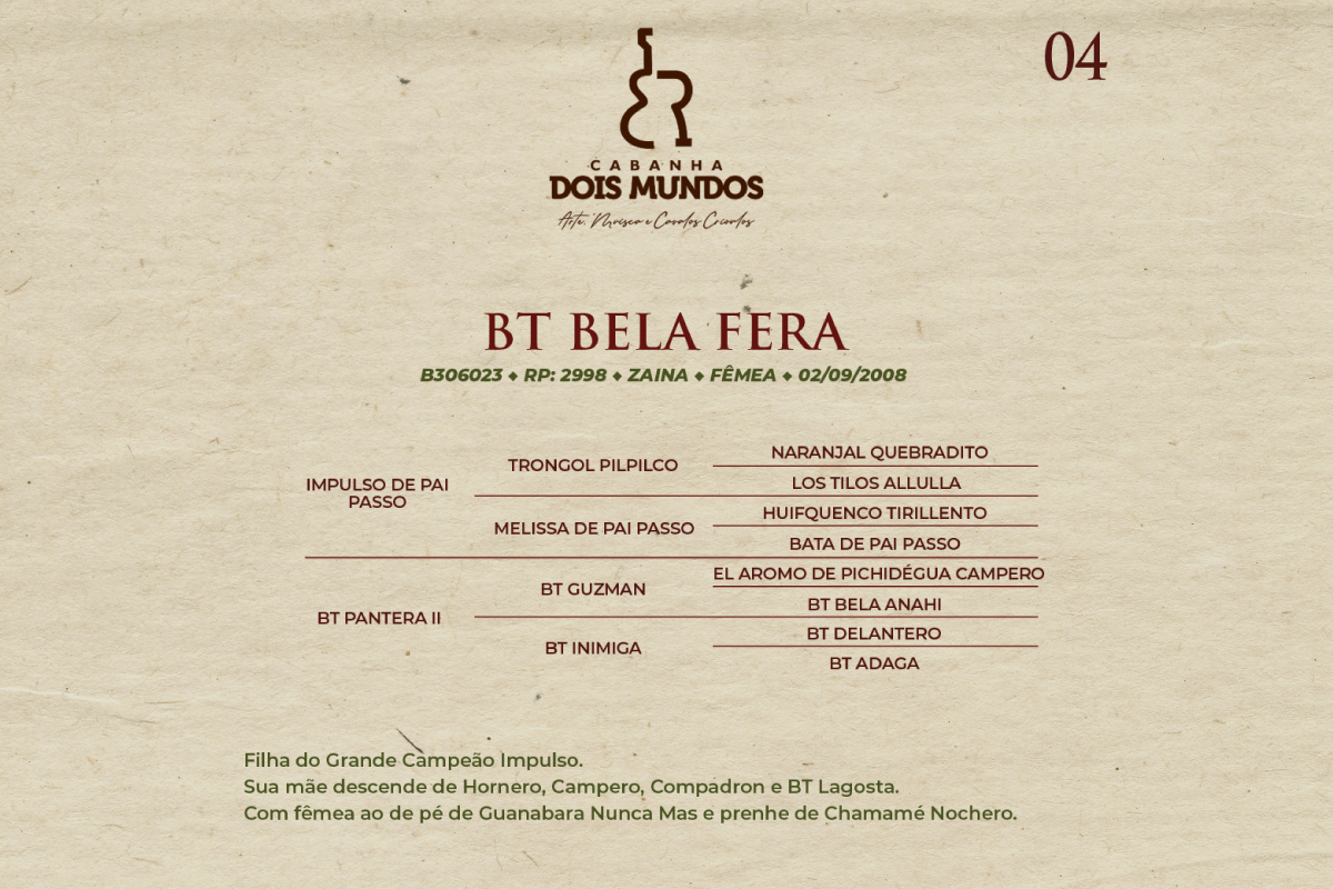 Geração BT BELA FERA