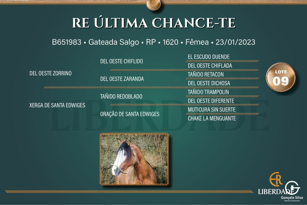 Geração RE ÚLTIMA CHANCE-TE