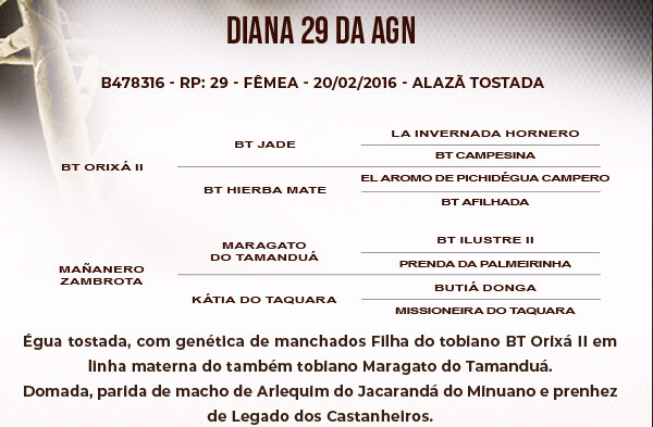 Geração DIANA 29 DA AGN