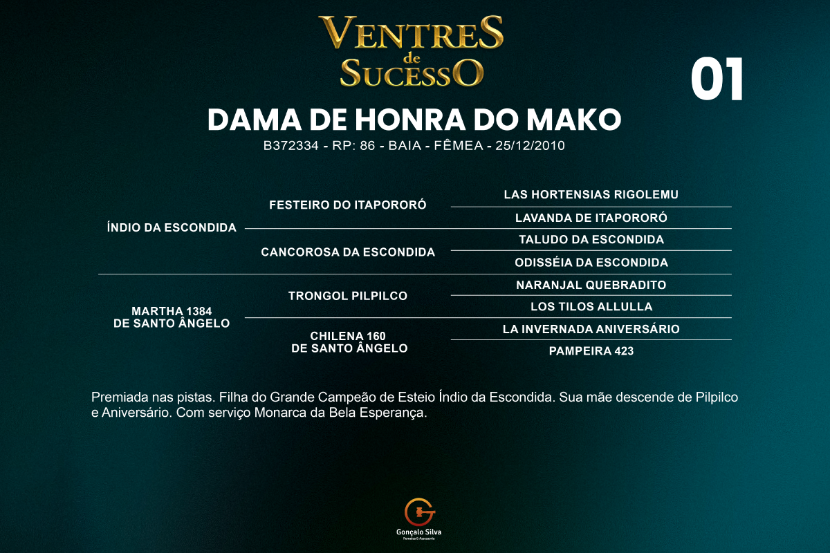 Geração DAMA DE HONRA DO MAKO