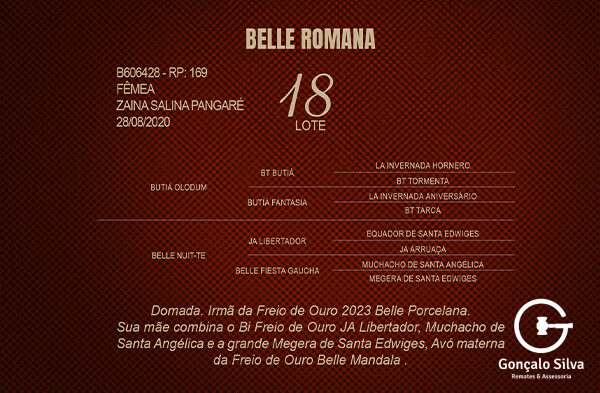 Geração BELLE ROMANA