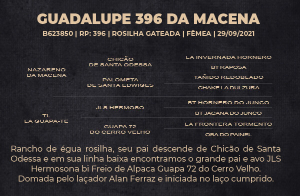 Geração GUADALUPE 396 DA MACENA