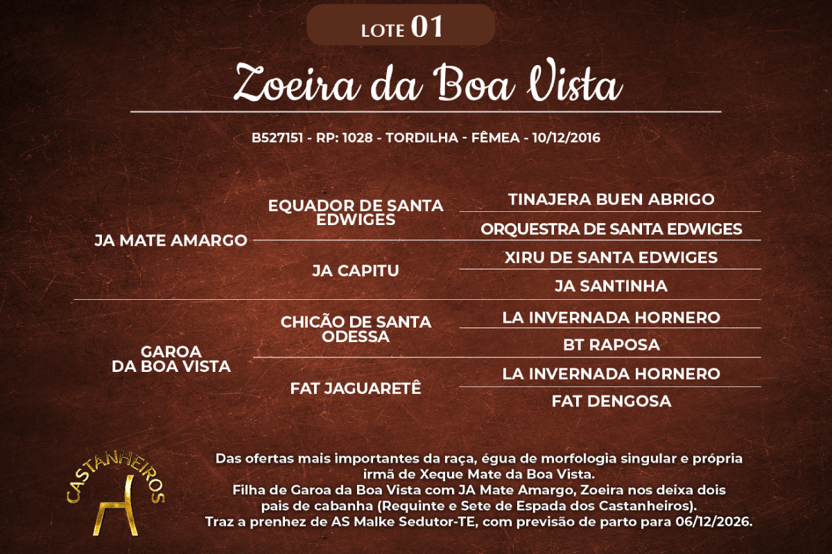 Geração ZOEIRA DA BOA VISTA