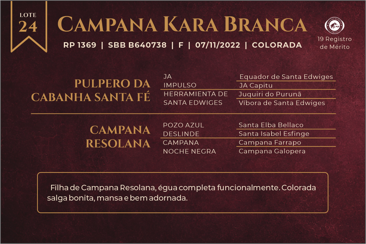 Geração CAMPANA KARA BRANCA