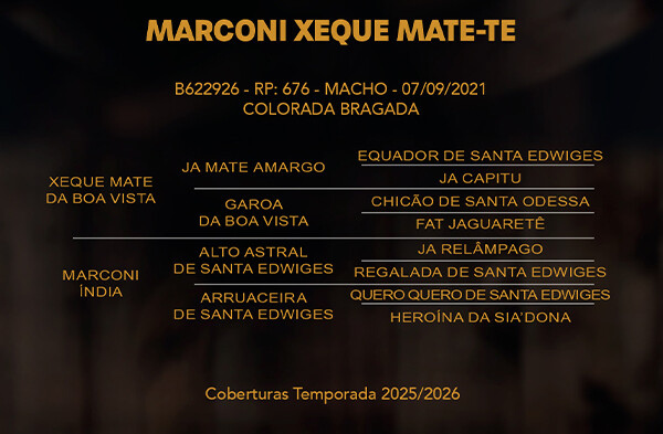 Geração MARCONI XEQUE MATE - TE