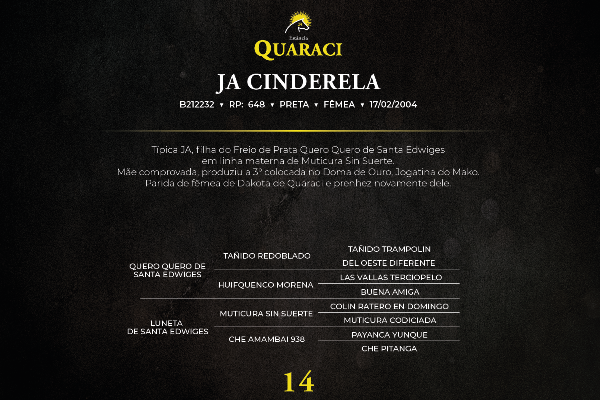 Geração JA CINDERELA