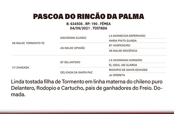 Geração PÁSCOA DO RINÇÃO DA PALMA