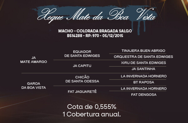 Geração COTA DE 0,555% XEQUE MATE DA BOA VISTA 