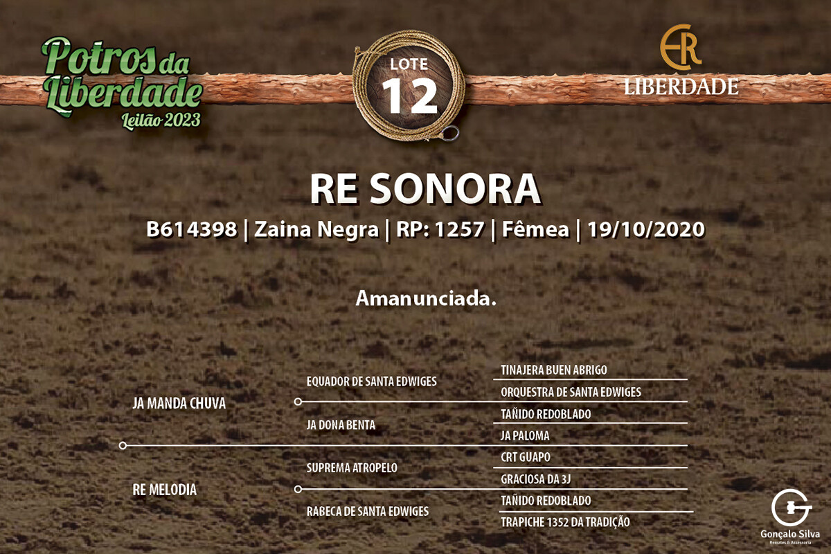 Geração RE SONORA