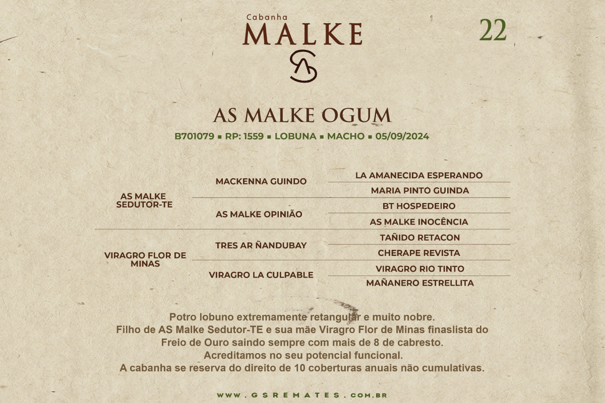 Geração AS MALKE OGUN