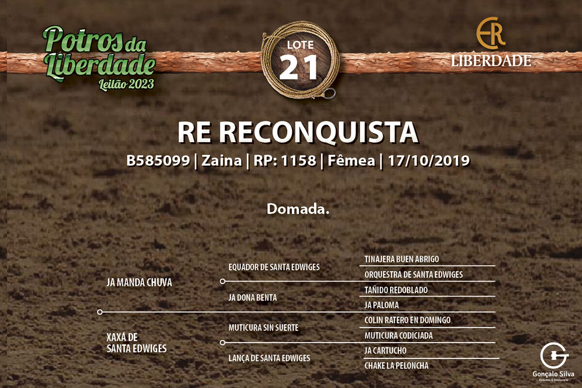 Geração RE RECONQUISTA