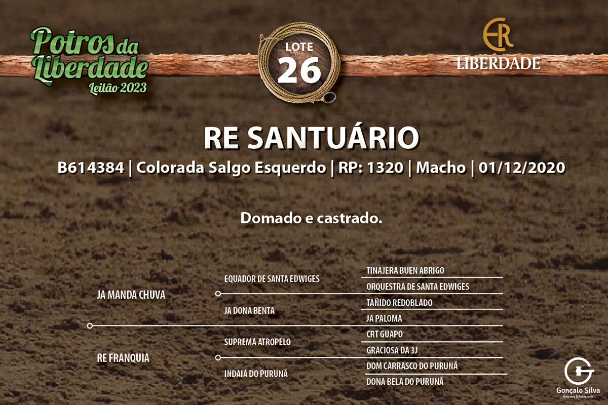 Geração RE SANTUÁRIO