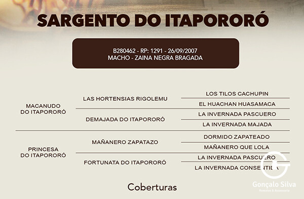 Geração SARGENTO DO ITAPORORÓ