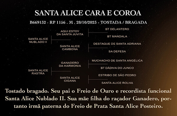 Geração SANTA ALICE CARA E COROA
