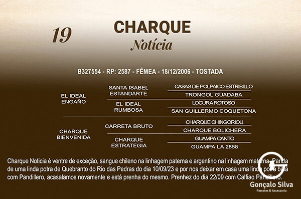 Geração CHARQUE NOTICIA