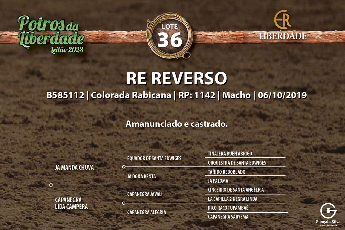 Geração RE REVERSO