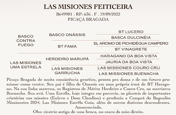 Geração LAS MISIONES FEITICEIRA
