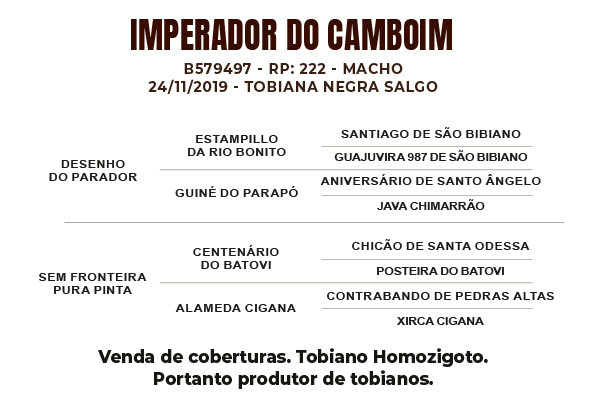 Geração IMPERADOR DO CAMBOIM ( COBERTURA )