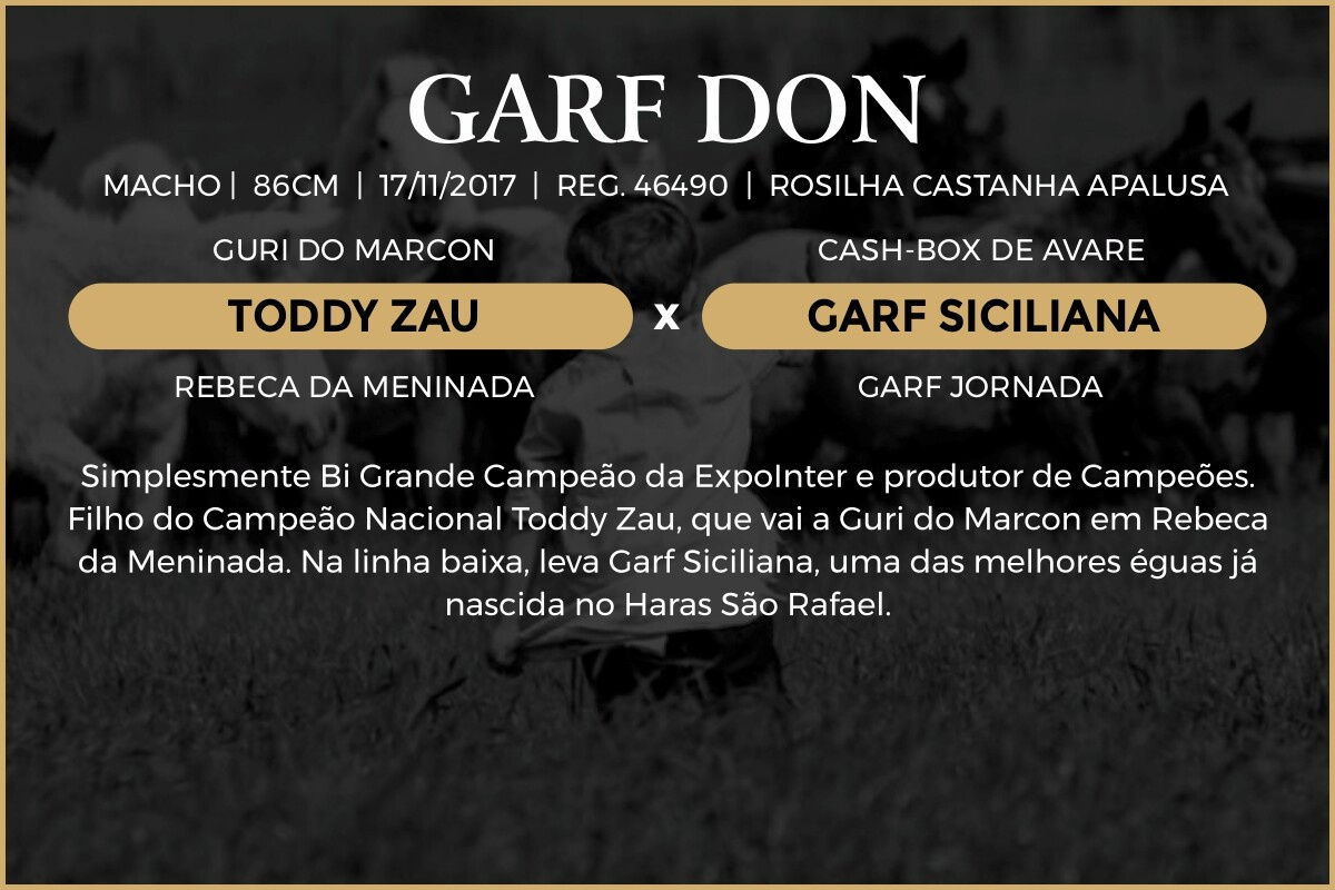 Geração COBERTURA GARF DON