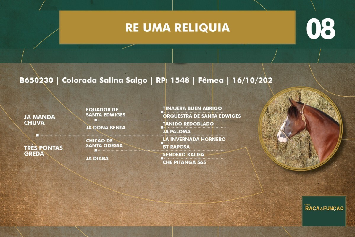 Geração RE UMA RELIQUIA