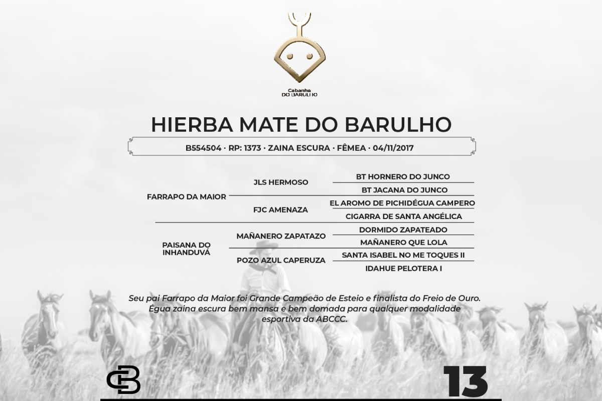 Geração HIERBA MATE DO BARULHO