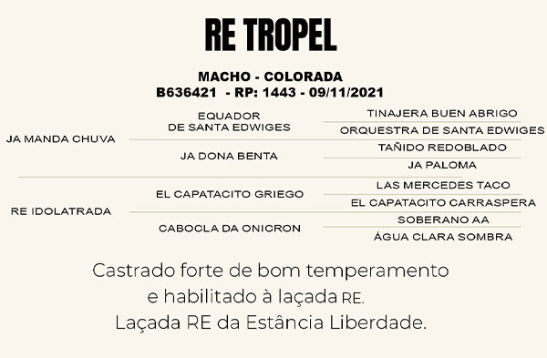 Geração RE TROPEL