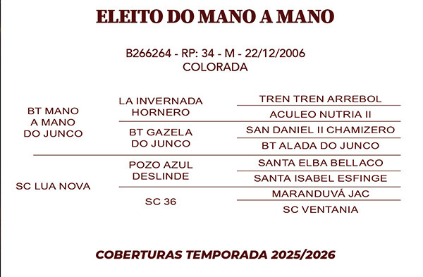 Geração ELEITO DO MANO A MANO